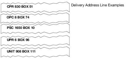 Delivery address line examples for APO/FPO military mail.